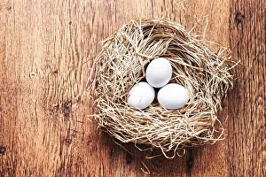 Easter Eggs Prints: Eggs in a nest, easter composition