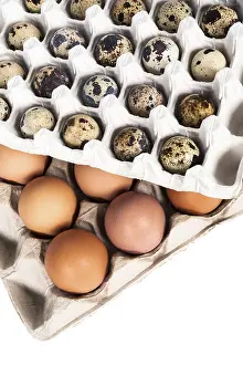 Studio Shot Of Eggs Prints: Eggs in the package on a white background