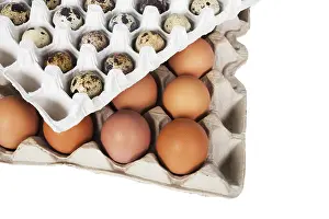 White Background Packaging Prints: Eggs in the package on a white background