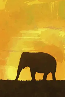 African Elephant Illustration Prints: Elephant background template
