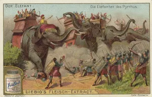 Historical Illustration Art Prints: The Elephant series