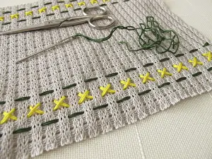 Handicraft Embroidery Patterns Prints: Embroidery pattern on canvas