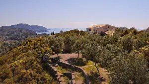 Deserted Mansion Europe Prints: Emperor's thrones, villa, olive trees