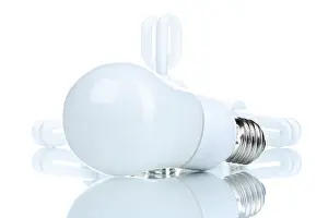 Energy Efficient Lighting Solutions Prints: Energy saving bulb