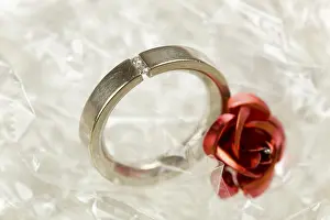 Engagement Ring Prints: Engagement ring, wedding ring