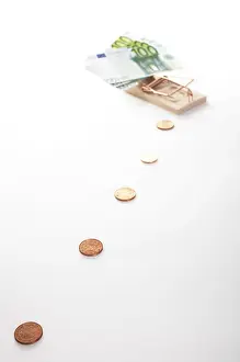 Euro Banknote Prints: To entrap