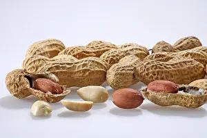Plant Based Cuisine Prints: Erdnuesse| peanuts