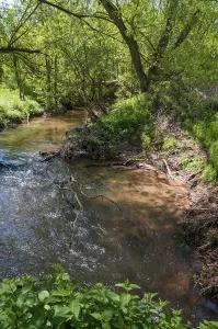 European River Landscapes Prints: Erlbach, Germany, Greiz, Thuringia