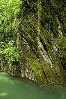 River Breggia Switzerland Prints: Eroded bands of limestone, rocks