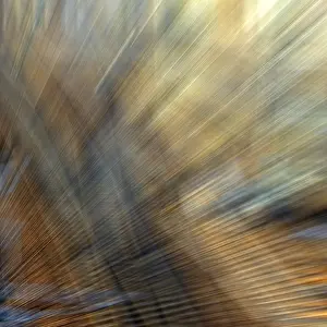 Colorful Abstract Art Prints: Esthetic abstract background with rays and shadows