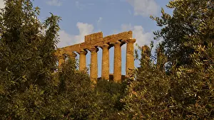 Historic Temple Complex Prints: Evening light, row of columns, chapter