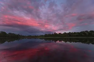 Evening Mood In Germany Prints: Evening mood in the floodplain forest