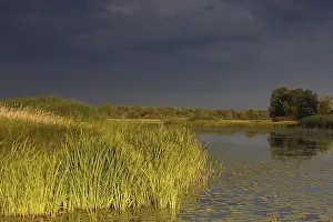 UNESCO Biosphere Reserve Germany Prints: Evening mood in the floodplain forest