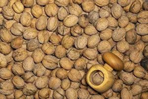 Empty Wooden Table Setting Prints: Evenly distributed walnuts spread out to fill the format with a wooden nutcracker as a background