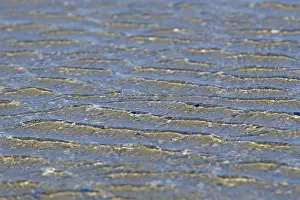 Lower Saxony Shoreline Prints: Evenly flowing waves on a sandy beach