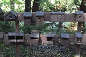 Ecofriendly Nesting Aid Prints: Examples of different nest boxes, Brandenburg