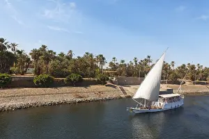 Egypt Tourism Prints: Excursion boat on the Nile, Egypt