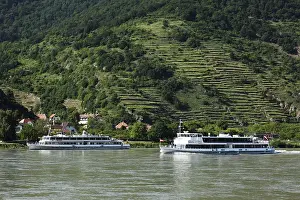 European Cruise Vessel Prints: Excursion ships on the Danube river at Spitz