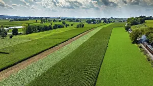 Agriculture Landscape Photography Prints: Expansive fields stretch across the landscape