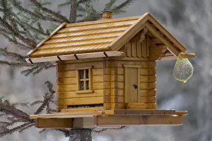 Nesting Box Prints: Exquisite bird house made from solid wood