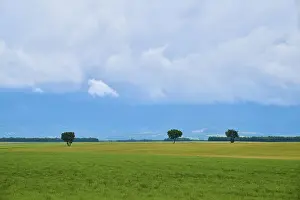 Cloudy Sky Landscape Photo Prints: Extensive green fields with scattered trees