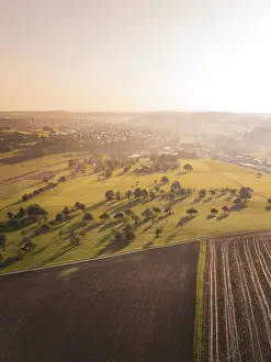 Sunset Aerial View Prints: Extensive landscape with fields and scattered standing trees at sunset