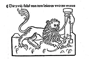 Panthera Leo Pictures Prints: The Fable of the Lion and the Mouse