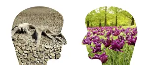 Global Warming Impact Prints: Two faces, one with a dry desert