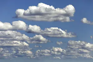 Fair Weather Clouds Prints: Fair weather clouds, cloud clusters