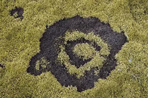 Northern Europe Botany Prints: fairy ring in the moss, Hellisheioi