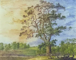 British History Landmarks Prints: Famous old trees