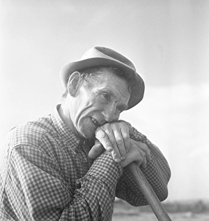 European Agricultural Heritage Prints: Farmer in the 1940s. An elderly man is having a rest from the work on the fields