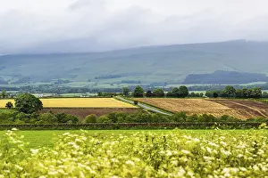 British Agricultural Land Prints: Farms and Fields over Hartside Pass