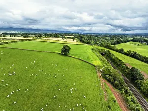 Top Down View Of Farm Fields Prints: Farms and Fields over River Eden and River Eamont from a drone
