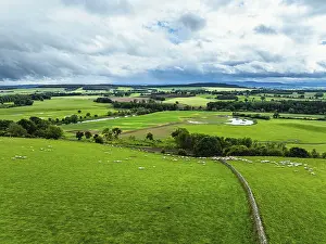 England Countryside Landscape Prints: Farms and Fields over River Eden and River Eamont from a drone