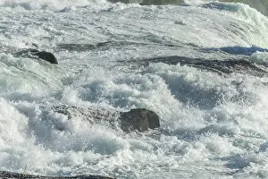 Swiss Waterfalls Europe Prints: Fast currents in Rhine Falls in spring