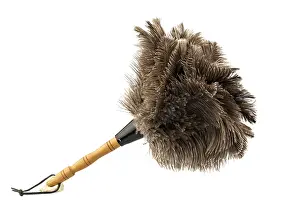 Cutout Image Prints: A feather duster in front of a white background