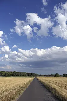 Deserted Country Lane Prints: Feldweg