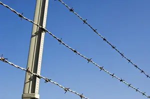 Barbed Wire Fence Prints: Fence
