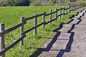 Deserted Promenade Path Prints: Fence with a shadow along the promenade path