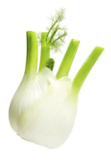 Studio Environment For Food Photography Prints: Fennel