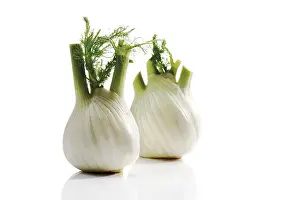 Food Photography Studio Background Prints: Fennel