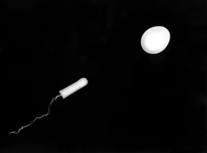 Fertilization Process Prints: Fertilization
