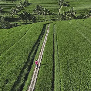 Bali Landscape Photography Prints: Fesselnde Bilder, die Reisfelder und die landschaftliche Schönheit von Bali zeigen Fesselnde Bilder