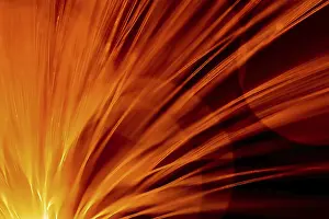 Detailed Macro Photography Prints: Fibre Optic Abstract