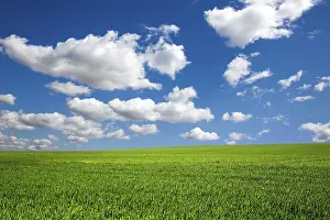 Blue Sky Landscape Prints: Field on a background of the blue sky