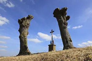 Christian Art Bavaria Prints: Field cross between pollarded willows after pruning