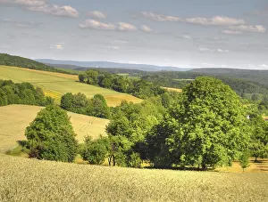 Agricultural Crop Fields Prints: Field, fields, grain, cornfield