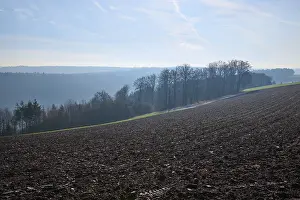 Agricultural Landscape Germany Prints: Field, forest, clouds, spring, Walldurn