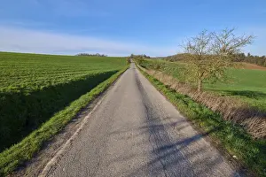 Deciduous Tree Landscape Photo Prints: Field path, fruit tree, grain field